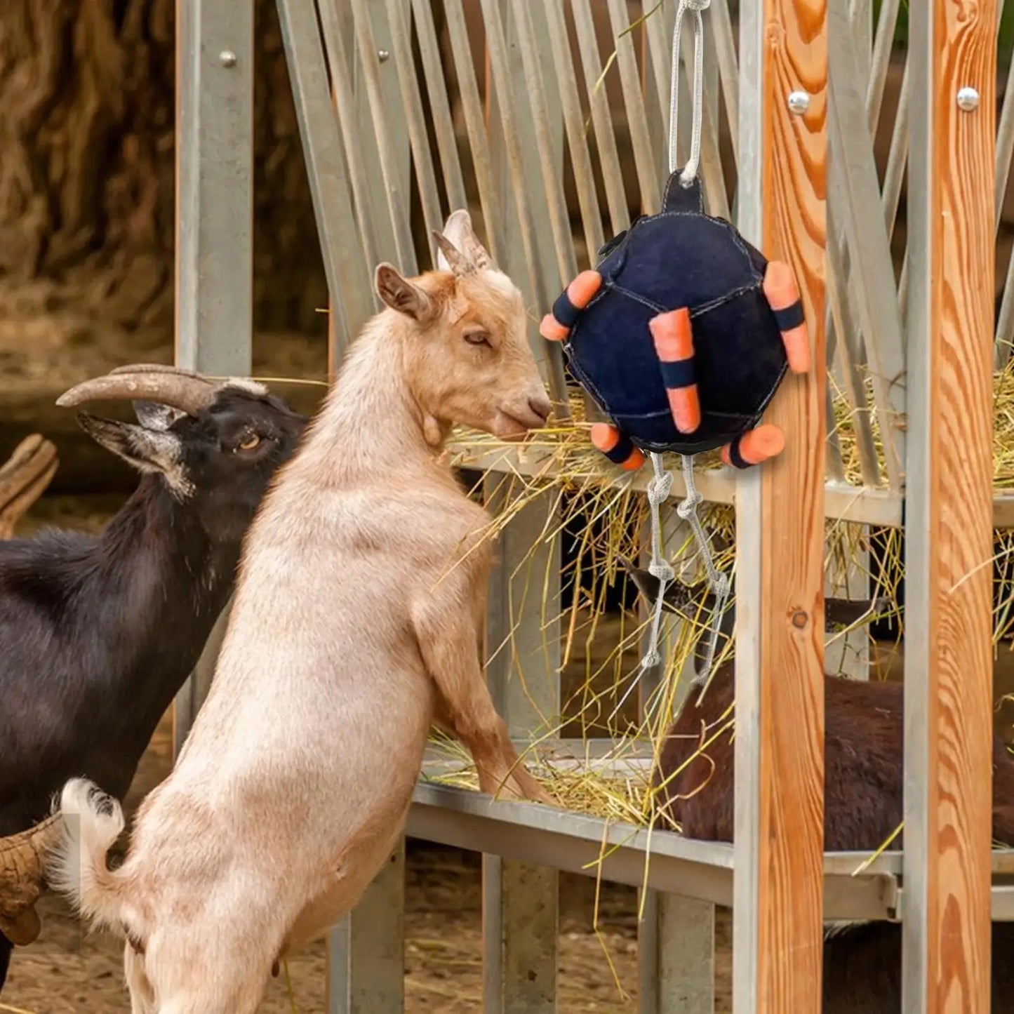 Horse carrot feeding ball toy / Hay Feeder  Hanging  Feeding Ball or any other animals - ghoddosh.com