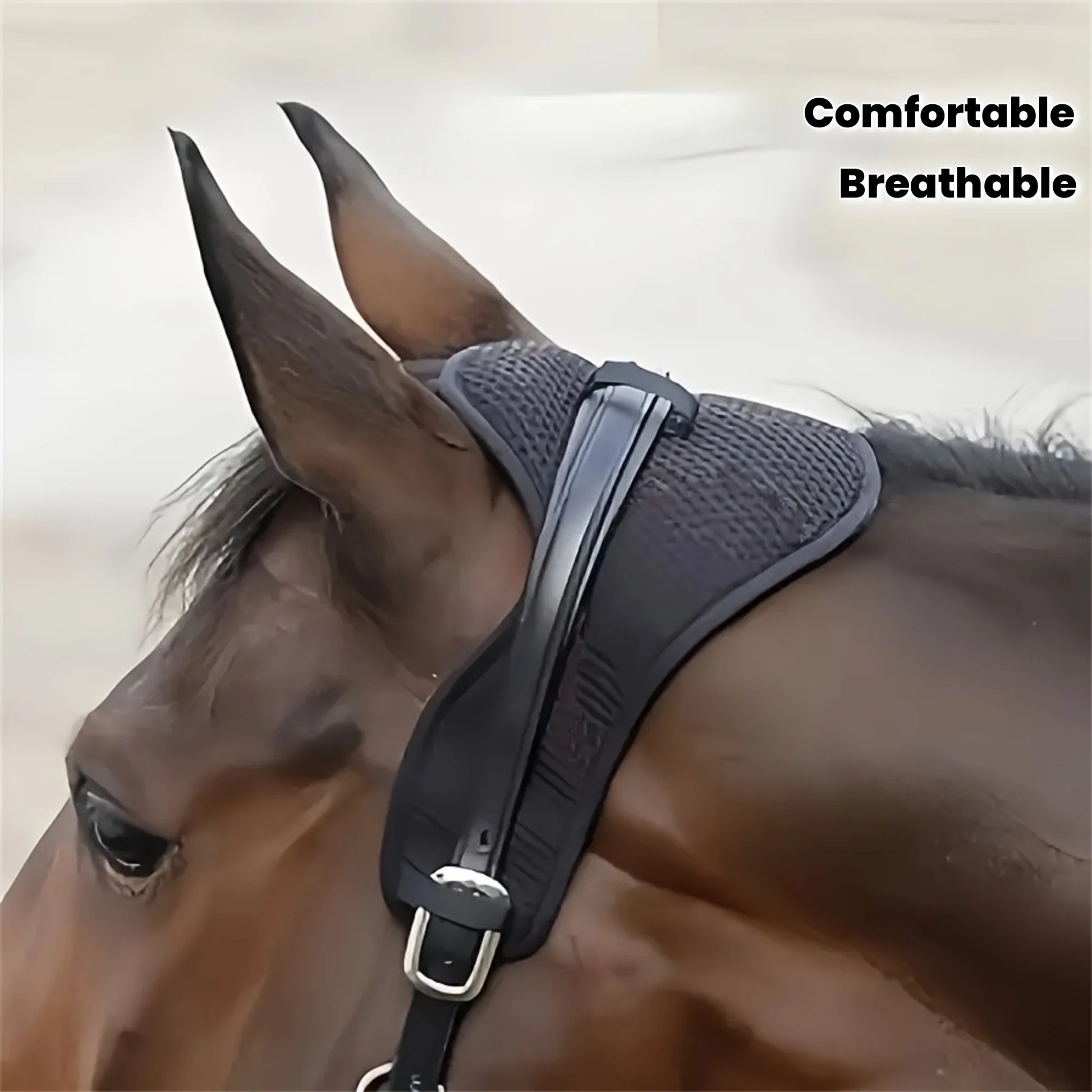 Breathable Polyester Horse Neck Protector – Anti-Wrinkle Equestrian Gear for Riding and Training @ ghoddosh.com