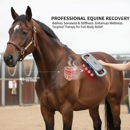 Horse  Multi-head Muscle Massager Tool @ ghoddosh.com