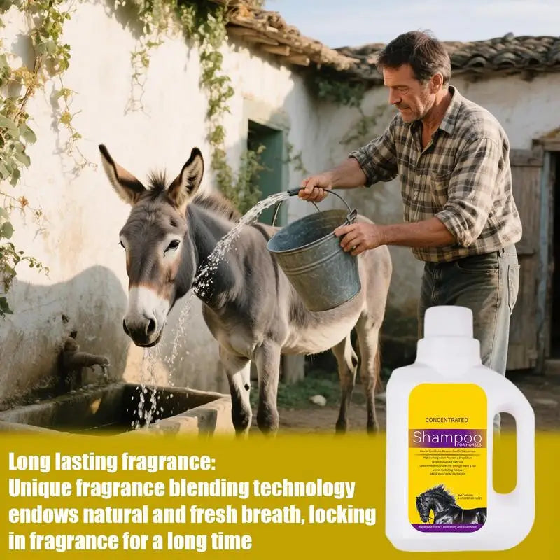 1L of Horse Shampoo and Shower Gel  Mane & Tail Body Wash  @ ghoddosh.com
