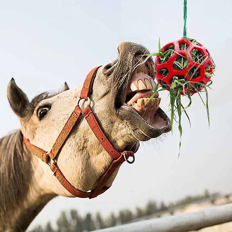 Horse Treat Ball Hay Feeder , A Hanging Feeding Toy for Horses