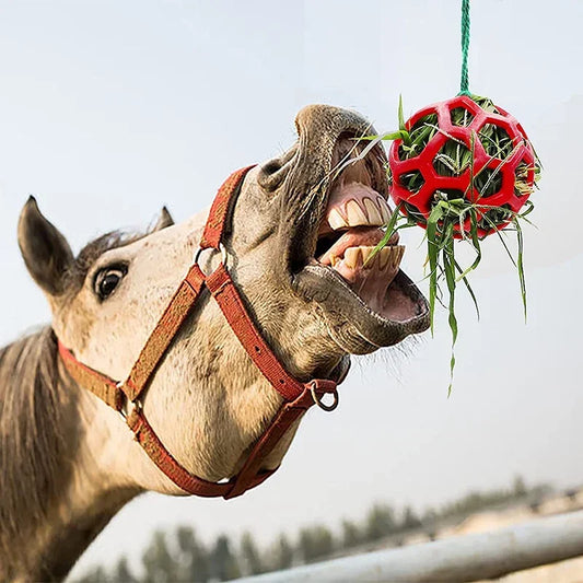 Horse Treat Ball Hay Feeder , A Hanging Feeding Toy for Horses