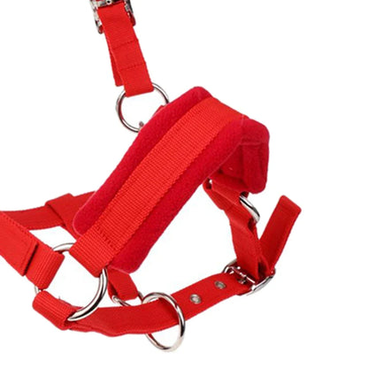 Soft Padded Pony Horse Halter / Bridle  Headcollar