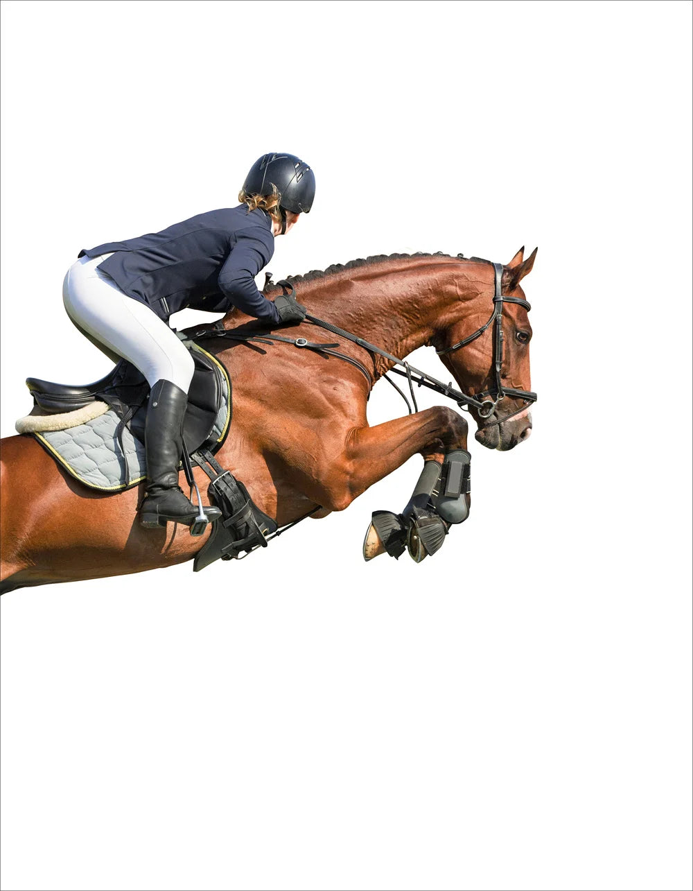 Horse Racing Equestrian Horse  Double Decorative Paintings @ ghoddosh.com