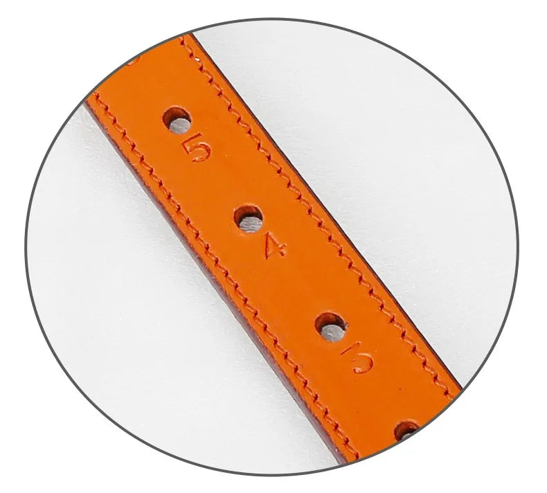 Equestrian / Horse Riding  special compression buckle cowhide webbing strap, stirrup strap, saddle accessories and  riding equipment