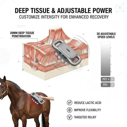 Horse  Multi-head Muscle Massager Tool @ ghoddosh.com