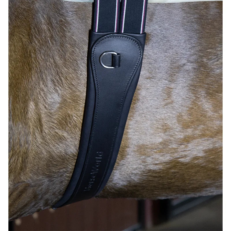 Premium Chocolate Leather Anatomical Girth | Anti-Chafe, Elastic & Padded for Training & Show @ ghoddosh.com