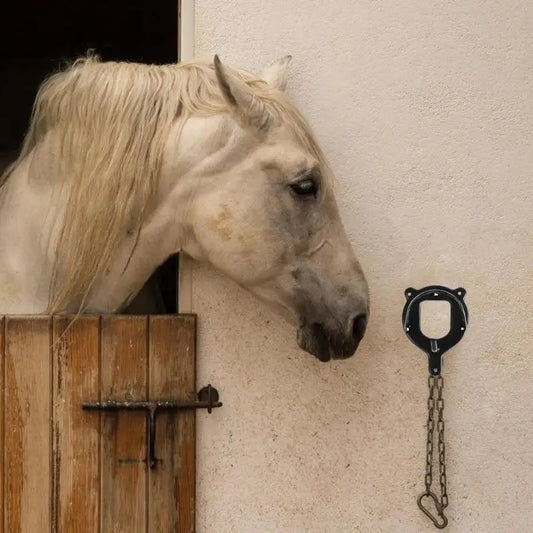 Horse Bridle Rack Stable Metal Halter Holder Hooks  / Portable Bridle Holder