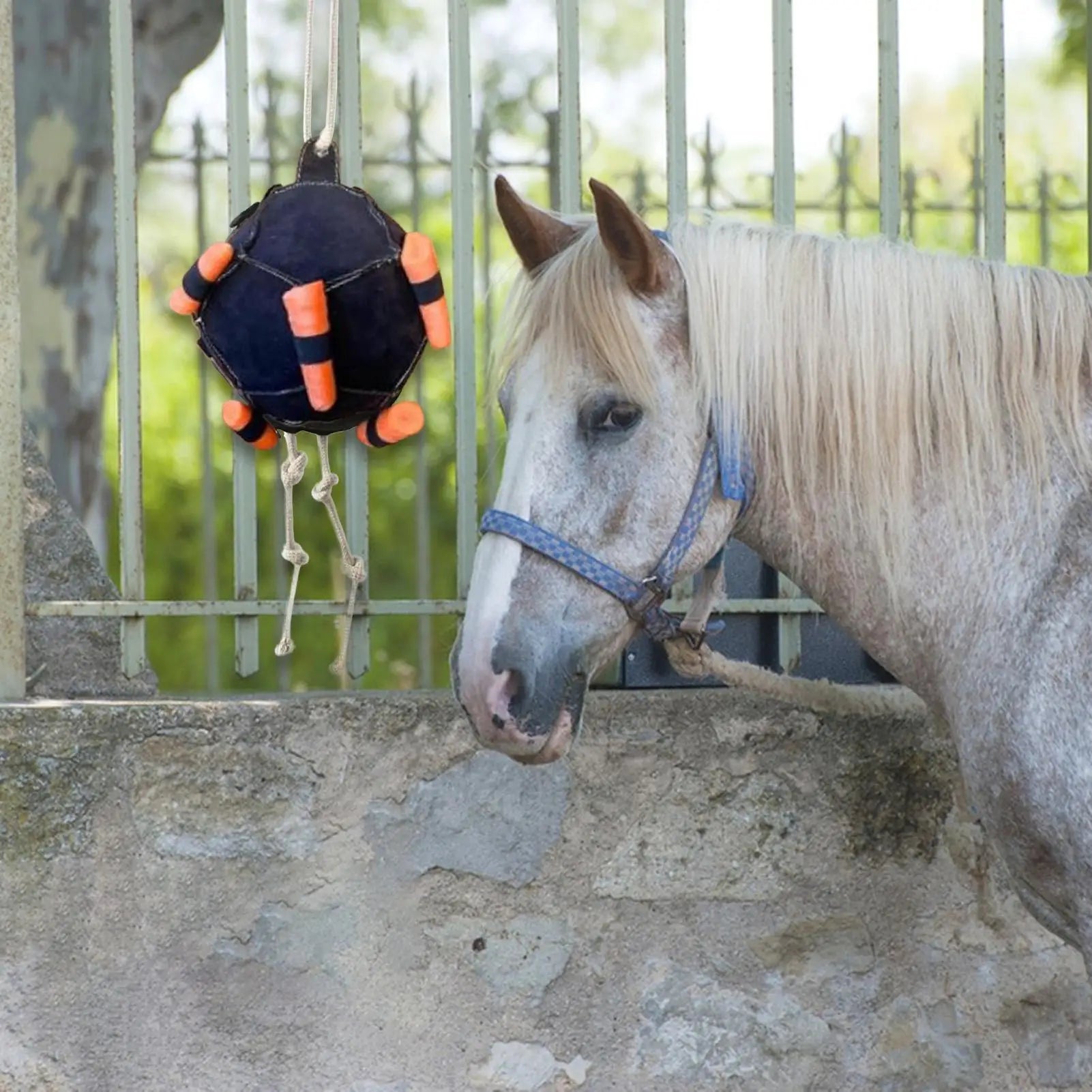 Horse carrot feeding ball toy / Hay Feeder  Hanging  Feeding Ball or any other animals - ghoddosh.com