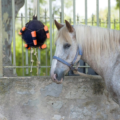 Horse carrot feeding ball toy / Hay Feeder  Hanging  Feeding Ball or any other animals - ghoddosh.com
