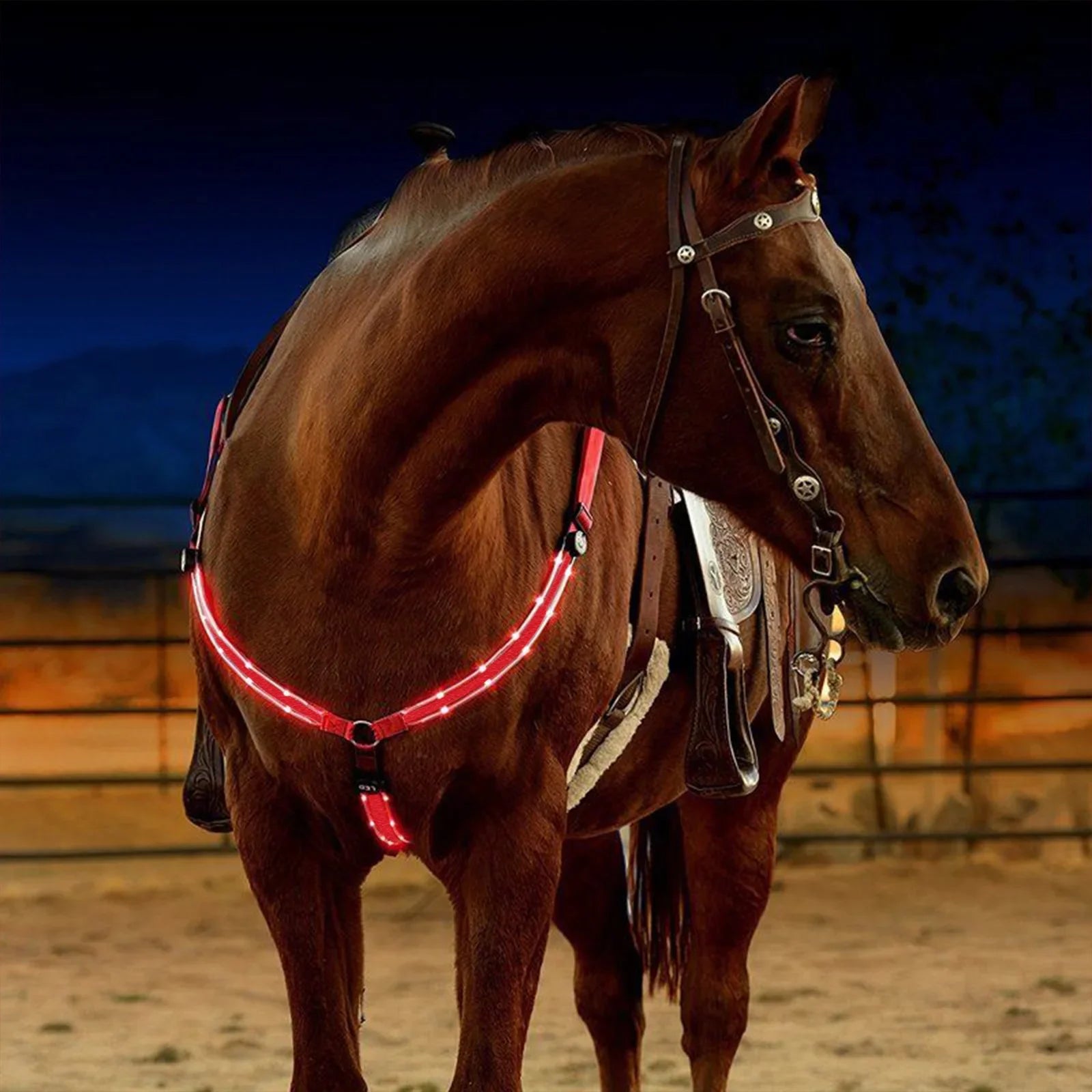 LED Horse Tack for Enhanced Visibility (Legs, Chest, Tail) - Ghoddosh