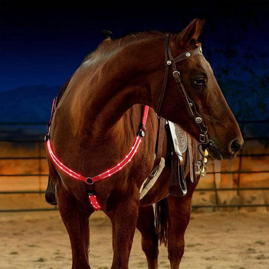 LED Horse Tack for Enhanced Visibility (Legs, Chest, Tail) - Ghoddosh