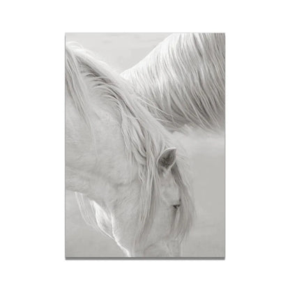 White Horse Print Art Canvas  Décor