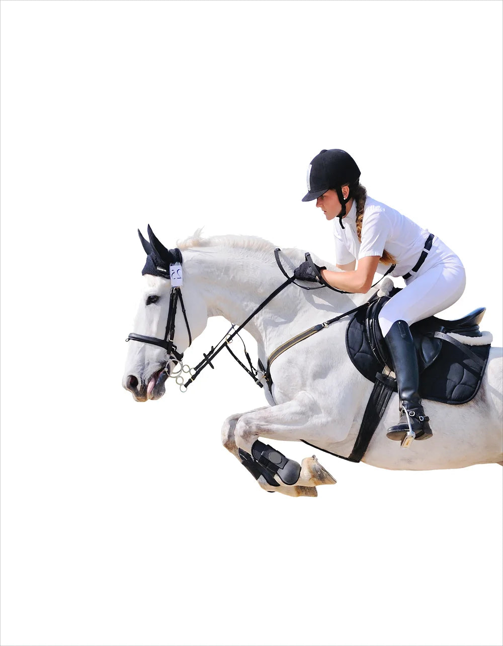 Horse Racing Equestrian Horse  Double Decorative Paintings @ ghoddosh.com