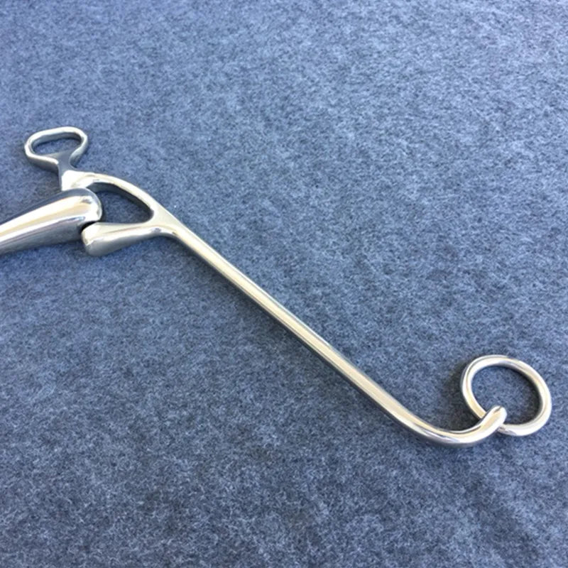 13.5cm Stainless Steel Walking Horse Western Bit  @ ghoddosh.com
