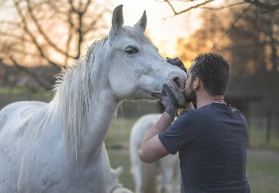 Man kissing a white horse in an outdoor setting with trees  In the sunset - Ghoddosh Equestrian Equipment 