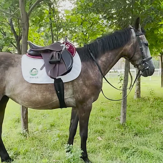 Equestrian / Horse Ridding Stirrups belt  VIDEO