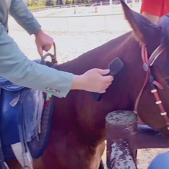 Horse Grooming Brush Video