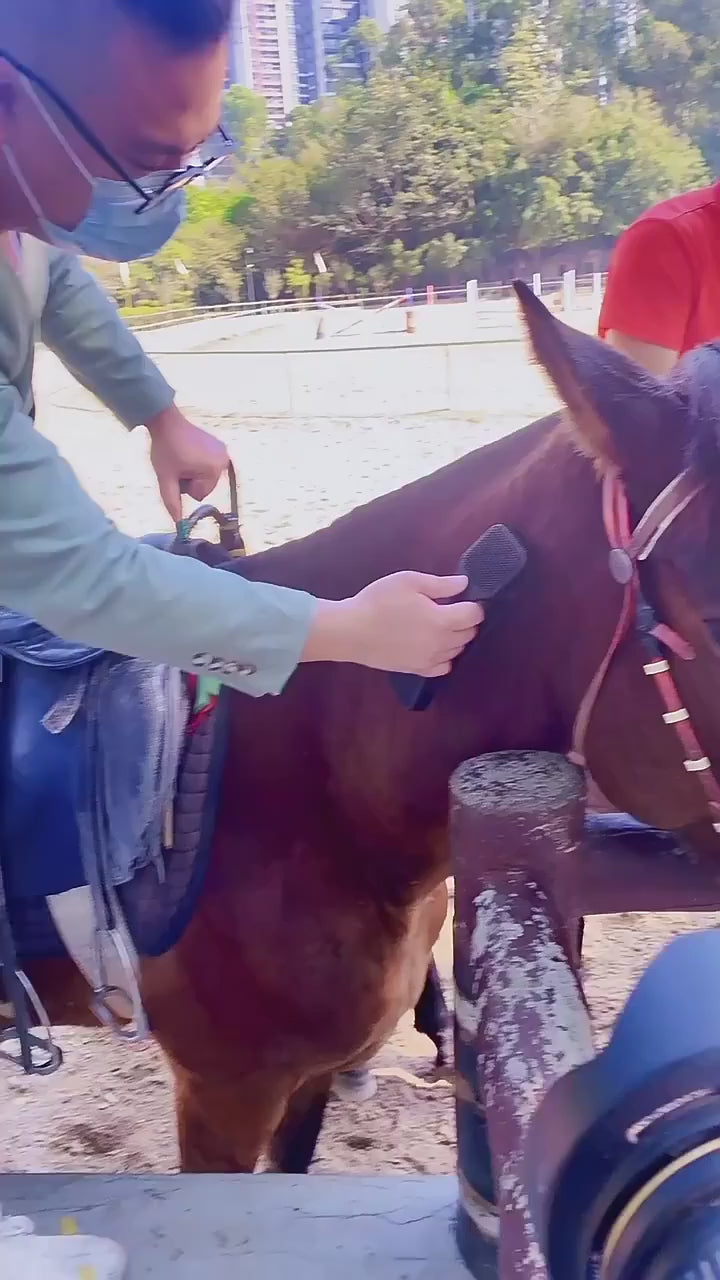 Horse Grooming Brush Video