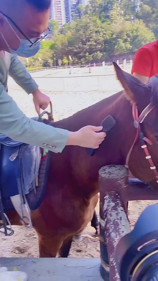 Horse Grooming Brush Video