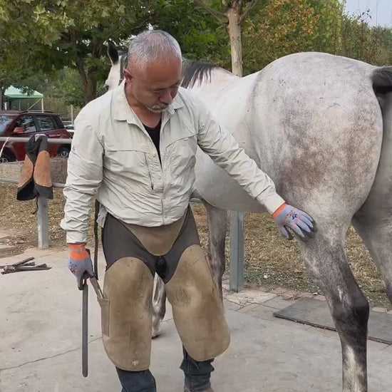 Equestrian Microfiber Apron / Horseshoes Repairing Apron Video