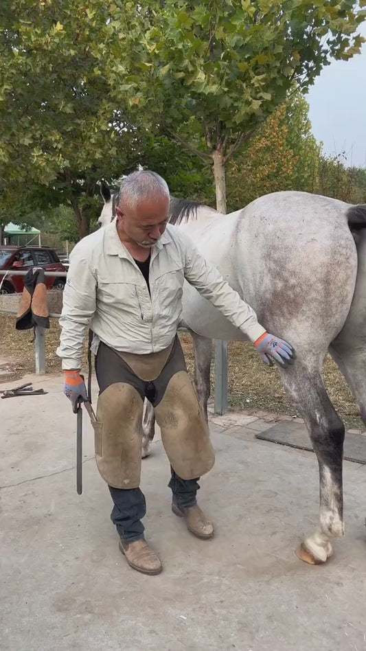 Equestrian Microfiber Apron / Horseshoes Repairing Apron Video