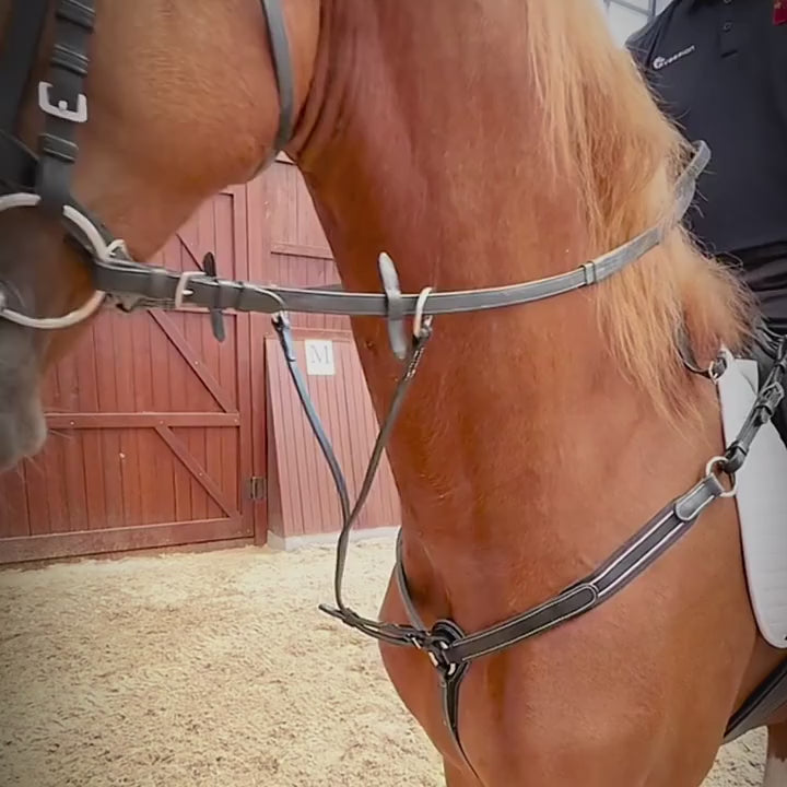Low Head Leather Cowhide Horse Riding Equipment - Video