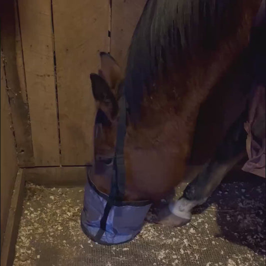 Horse Hay Hanging Neck  Feeding Adjustable Outdoor  Bags - Video